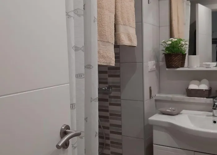 Jose Carlos Puerto de la Cruz (Tenerife)